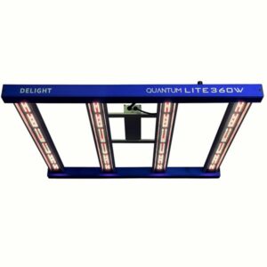 QUANTUM LITE 360W-DELIGHT