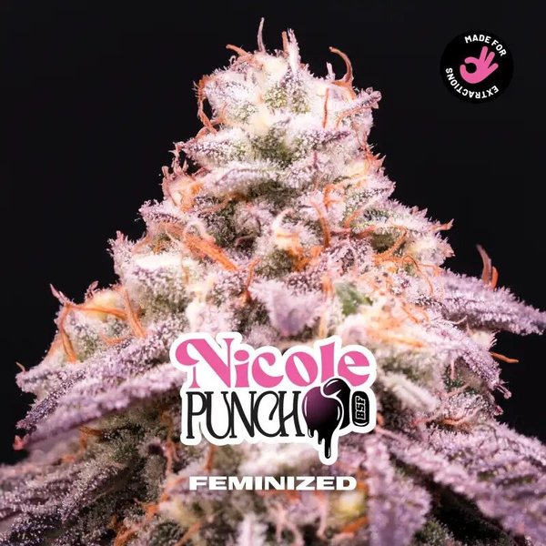 NICOLE PUNCH FEM X2-BSF