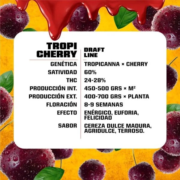 TROPI CHERRY FEM X7-BSF