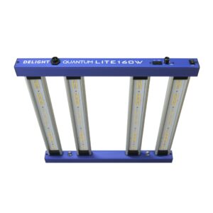 New Quantum Lite 160W Delight